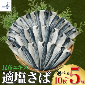 【ふるさと納税】 適塩さば 昆布エキス入り 約10枚～5kg さば 鯖 サバ サバフィーレ 鯖フィーレ サバフィレ 鯖フィレ 切り身 切身 昆布エキス お弁当 惣菜 おかず 料理 冷凍 冷凍品 長期保存 保存食 お取り寄せ グルメ 大容量 ギフト 贈物 海鮮 千葉県 銚子市 エドノフーズ
