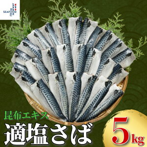 yӂ邳Ɣ[Łz K zGLX 10`5kg  I To TotB[ ItB[ TotB ItB ؂g ؐg zGLX ٓ y   Ⓚ Ⓚi ۑ 