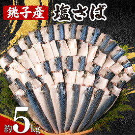 【ふるさと納税】 銚子産 塩さば 5kg 銚子港 国産 さば 鯖 塩さば 塩鯖 適塩 適塩さば さばフィーレ 人気 切り身 切身 無添加 添加物不使用 塩焼き 焼きさば 味噌煮 調理用 お取り寄せ グルメ 大容量 ふるさと納税 ふるさと納税さば 送料無料 千葉県 銚子市 エドノフーズ