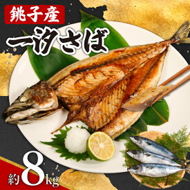 【ふるさと納税】 銚子産 一汐さば 8kg 銚子港 国産 さば 鯖 塩さば 塩鯖 適塩 適塩さば さばフィーレ 人気 切り身 切身 無添加 添加物不使用 塩焼き 焼きさば 味噌煮 調理用 お取り寄せ グルメ 大容量 ふるさと納税 ふるさと納税さば 送料無料 千葉県 銚子市 エドノフーズ