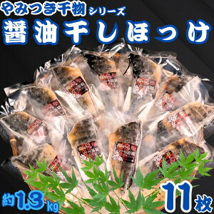 yӂ邳Ɣ[Łz ق  11 ݂ ݖ 1120g ݖ Ⓚ ^ ق Ђ e  ^pbN  lC O  Ε Mtg v[g