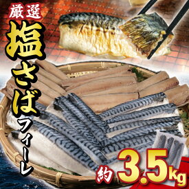 【ふるさと納税】 サバ 塩サバフィーレ 約3.5kg ノルウェー産 冷凍 小分け サバ 鯖 塩サバ フィーレ 海鮮 魚 大容量 青魚 おかず 惣菜 焼魚 魚貝 おつまみ 弁当 人気 グルメ お取り寄せ おすすめ 送料無料 ふるさと納税 ふるさと納税魚 千葉県 銚子市 大一奈村魚問屋