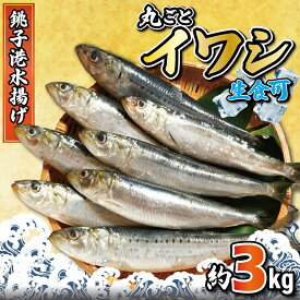 【ふるさと納税】 いわし 丸ごとイワシ 約3kg 鰯 海鮮 魚 大容量 おかず 惣菜 魚介 焼魚 魚貝 BBQ おつまみ 弁当 人気 グルメ 贈答 贈物 ギフト 長期保存 小分け お取り寄せ 贈り物 お歳暮 ふるさと納税 ふるさと納税イワシ 冷凍 11000円 送料無料 千葉県 銚子市 大一奈村