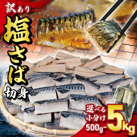【ふるさと納税】 訳あり サバ 塩サバ切り身 約500g 1kg 1.5kg 2kg 5kg ノルウェー産 小分け サバ 鯖 切り身 海鮮 魚 大容量 青魚 おかず 惣菜 焼魚 魚貝 おつまみ 弁当 人気 グルメ お取り寄せ ふるさと納税 ふるさと納税魚 冷凍 送料無料 千葉県 銚子市 大一奈村魚問屋