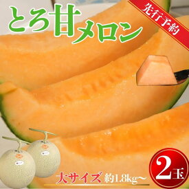 【ふるさと納税】 【先行予約】 赤肉とろ甘メロン 大サイズ 2玉 （ 1玉約1.8kg以上 ） 銚子産 弥兵衛 完熟 熟成 メロン 赤肉 果物 フルーツ ギフト プレゼント 贈答 お取り寄せ 産地直送 送料無料 ふるさと納税 ふるさと納税果物 千葉県 銚子市 弥兵衛 7月上旬～発送
