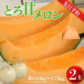 【ふるさと納税】 【先行予約】 赤肉とろ甘メロン 2玉 （ 1玉約1.65～1.75kg未満 ） 銚子産 弥兵衛 完熟 メロン 赤肉 果物 フルーツ ギフト プレゼント 贈答 お取り寄せ 高級 送料無料 10000円 10000 ふるさと納税 ふるさと納税果物 千葉県 銚子市 弥兵衛 7月上旬～発送