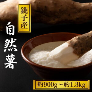 yӂ邳Ɣ[Łz R 900g~1.3kg R Ƃ ˂񂶂  a   Y tY qY  { VN h{ \ N e ɗǂ  O  ӂ邳