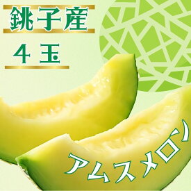 【ふるさと納税】 銚子産 アムスメロン 【選べる容量】2玉 ～4玉 メロン 青肉 果物 とろ甘16 高糖度 フルーツ ギフト プレゼント 贈答 お取り寄せ デザート ゼリー ジュース 期間限定 ふるさと納税 送料無料 千葉県 銚子市 弥兵衛 【6月下旬〜7月中旬発送】