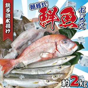 yӂ邳Ɣ[Łz N{bNX ߂BOX 2kg q` g Yn NZbg Nlߍ킹 q ̂ǂ zE{E qJ CJ Gr Jj CV AW JC  ^C hg h