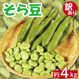 【ふるさと納税】 先行予約 訳あり そら豆 約4kg 季節限定 そらまめ 豆 マメ おかず お弁当 おつまみ 炒め物 大容量 新鮮 産地直送 野菜 旬 家庭用 国産 ふるさと納税 ふるさと納税野菜 冷蔵 12000円 送料無料 千葉県 銚子市 孝農園【令和8年5月上旬～6月上旬発送予定】