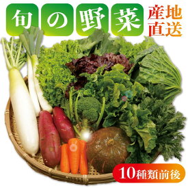 【ふるさと納税】 野菜詰め合わせセット 8〜10種類 季節の野菜 やさい トマト キャベツ 大根 人参 にんじん サラダ 小松菜 かぶ ほうれん草 ブロッコリー ミニトマト 野菜 野菜セット 新鮮野菜 朝採れ 産地 10000 10,000 10000円 ふるさと納税 送料無料 千葉県 銚子市 孝農園