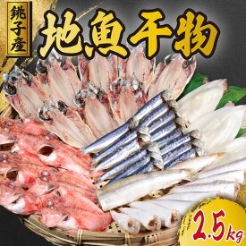 【ふるさと納税】 銚子 地魚干物 約2.5kg 約20枚 冷凍 大容量 干物 アジ イカ カサゴ いわし カマス 魚 魚介類 肉厚 冷凍 冷凍食品 切身 魚 魚介 おつまみ おかず 冷凍食品 グルメ 贈答 小分け お取り寄せ ふるさと納税 送料無料 千葉県 銚子市 贈物 ギフト