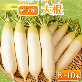 【ふるさと納税】 先行予約 大根 8〜10本 数量限定 期間限定 大容量 旬の野菜 だいこん 生野菜 大根おろし 味噌汁 煮物 ぶり大根 豚バラ大根 おでん 和食 生産量 日本一 プレゼント 贈り物 グルメ 発送時期 2027年4月〜(なくなり次第終了) 送料無料 千葉県 銚子市 小野商店