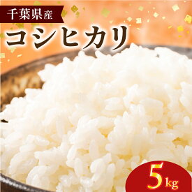 【ふるさと納税】 米 コシヒカリ 千葉県産 5kg 新米 令和7年産 先行予約 国産 国産米 日用品 お米 精米 白米 こめ コメ 予約 千葉県産米 料理 おにぎり 早場米 農家 家庭用 ギフト 贈答 贈り物 送料無料 ふるさと納税 千葉県 銚子市 サンズファーム 【9月中旬頃発送予定】