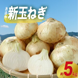�ԗ�i�摜