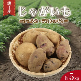 【ふるさと納税】 先行予約 じゃがいも 約5kg ニシユタカ デストロイヤー 2種 食べ比べ 芋 イモ サイズ不揃い 期間限定 国産 銚子産 産地直送 野菜 新鮮 美味しい 人気 オススメ 大容量 惣菜 おかず お弁当 送料無料 千葉県 銚子市 サンズファーム 【選べる発送時期】