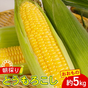 yӂ邳Ɣ[Łz XC[gR[ Ƃ낱  5kg ̂ ̂ Y Yn  Ė VN Â Lv  VՂ X[v R[ { Ƃ Ȃ΂ toumorokosi 