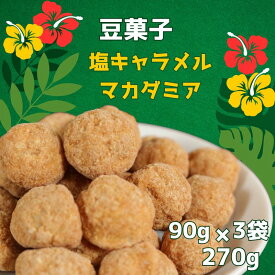 【ふるさと納税】 豆菓子 塩キャラメルマカダミア 計270g　(90g×3袋）塩キャラメルマカダミア味 マカダミアナッツ おやつ お取り寄せ ギフト 甘い 珍しい味 お菓子 おつまみ スイーツ 塩キャラメル キャラメル 送料無料 ふるさと納税 千葉県銚子市 森田屋商事合同会社
