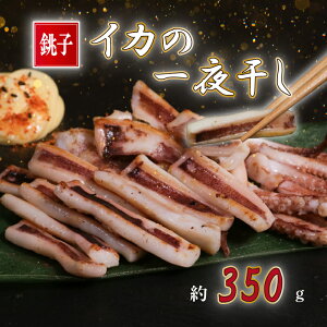 yӂ邳Ɣ[Łz CJ̈銱 2~4 (350g) CJ G 銱 銱 XCJ CJ  ɍ { ɍ ̍ ܂ g VՂ r[    t 