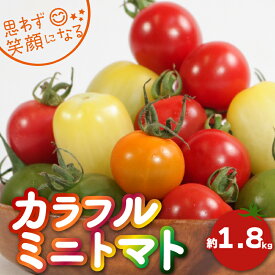 【ふるさと納税】 【先行予約】カラフルミニトマト 約1.8kg ミニトマト トマト カラフルミニトマト プチトマト 野菜 国産 アイコ tomato 千葉県 銚子市 ふるさと納税 ふるさと納税トマト とまりこ食堂 とまりこ Lindo tomaco farm 【2025年10月上旬-11月中旬頃発送予定】