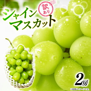 yӂ邳Ɣ[Łz 󂠂 VC}XJbg yIׂeʁz 1[`2[ 450g`1kg 2025 N ʌ s\ }XJbg _ƒ L@͔| ʕ ʎ { VN  O ӂ邳