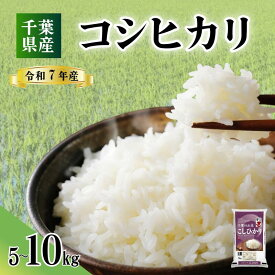 【ふるさと納税】 令和7年産 コシヒカリ 【選べる容量】 5kg 10kg 米 お米 こしひかり 国産 ご飯 千葉県産 ライス ブランド米 精米 白米 おにぎり 家庭用 送料無料 日用品 備蓄米 お取り寄せ 人気 おすすめ こだわり 人気米 ふるさと納税米 千葉県 銚子市 総武米穀卸
