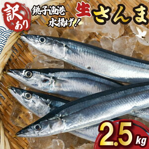 yӂ邳Ɣ[Łz 󂠂  2.5kg q`g  ʌ Ԍ Y Y Yn ①  T} H { H Ă Ă ٓ y  VN NxQ