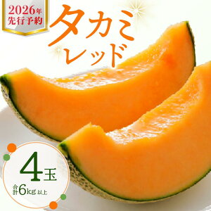 �y�ӂ邳�Ɣ[�Łz ������ 3L 4�ʓ� �^�J�~���b�h �y��s�\��z 2026 ���Ԍ��� �G�ߌ��� �������� �t���[�c �W���[�V�[ �傫�� �ʕ� ����� �X�C�[�c �� ������ �ԓ� �ԓ������� �߂�� �G�� ��