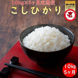 楽天市場 ふるさと納税 米 定期便 10kgの通販