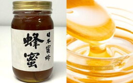 【ふるさと納税】日本蜜蜂　はちみつ　300g【12203-0079】
