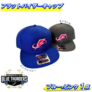 yӂ邳Ɣ[Łzu[T_[X tbgoCU[LbviOTTOjLbvES2FI@y12203-0210z