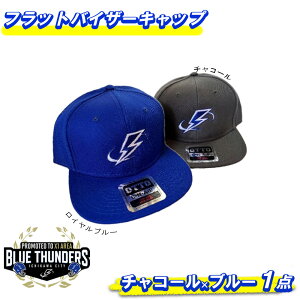 yӂ邳Ɣ[Łzu[T_[X tbgoCU[LbviOTTOjLbvES2FI@y12203-0210z