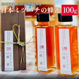 【ふるさと納税】日本ミツバチの蜂蜜　100g　【12203-0269】 はちみつ ハチミツ ギフト プレゼント 贈り物 送料無料 千葉県 市川市 エフプラス