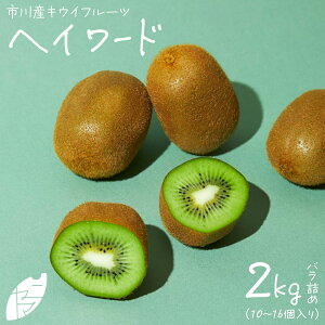 yӂ邳Ɣ[ŁzsYLECt[ciwC[hjol߁y12203-0400zʕ  t[c LEC wC[h Â ss 12