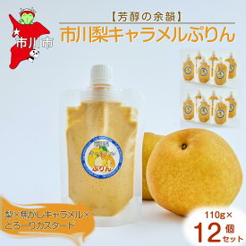 【ふるさと納税】【芳醇の余韻】市川梨キャラメルぷりん12個セット　【12203-0339】 Cafe WANISHAN プリン パウチタイプ 飲めるぷりん デザート スイーツ ゼラチン不使用 とろとろ 贅沢 できたて ギフト プレゼント 市川市 千葉県