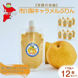 yӂ邳Ɣ[ŁzyF̗]Czs엜LՂ12Zbg@y12203-0339z Cafe WANISHAN v pE`^Cv ߂Ղ fU[g XC[c [`sgp ƂƂ ґ ł 