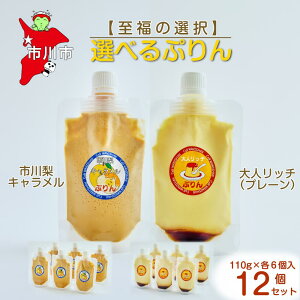 yӂ邳Ɣ[Łzy̑IzIׂ12Zbgis엜L×lb`jՂ@y12203-0346z Cafe WANISHAN v pE`^Cv ߂Ղ fU[g XC[c [`sgp 