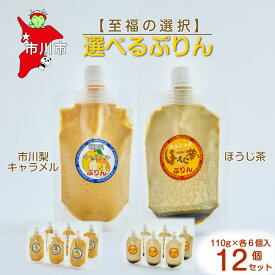 【ふるさと納税】【至福の選択】選べる12個セット（市川梨キャラメル×ほうじ茶）ぷりん　【12203-0347】 Cafe WANISHAN プリン パウチタイプ 飲めるぷりん デザート スイーツ ゼラチン不使用 とろとろ 贅沢 できたて ギフト プレゼント 市川市 千葉県