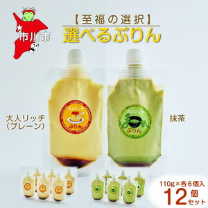 yӂ邳Ɣ[Łzy̑IzIׂ12Zbgilb`×jՂ@y12203-0350z Cafe WANISHAN v pE`^Cv ߂Ղ fU[g XC[c [`sgp ƂƂ ґ 