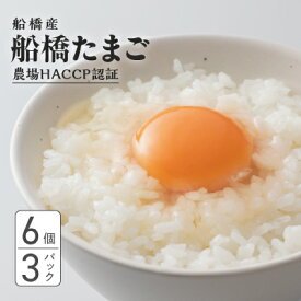 【ふるさと納税】生で食べて美味しい　船橋たまご　18個セット　6個×3パック　奈良養鶏園　農場HACCP認証　船橋産　卵　玉子　鶏卵　たまごかけご飯　TKG