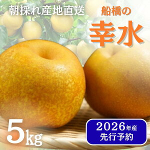 yӂ邳Ɣ[Łz tz  / s\  Ȃ D̂Ȃ K L H 5kg  t 2026N ͂ws u_ \