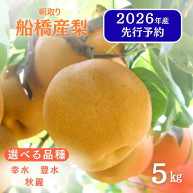 【ふるさと納税】先行予約 梨 なし 船橋のなし 幸水 豊水 秋麗 5kg おすすめ 千葉県 2026年発送 ※お届け日指定不可 い志い農園 予約