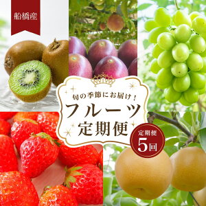 【ふるさと納税】船橋産フルーツ定期便(5品目) キウイ イチゴ 梨 豊水 シャインマスカット パッションフルーツ 旬の時期に発送