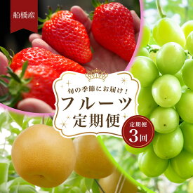 【ふるさと納税】船橋産フルーツ定期便（3品目）　梨 豊水 シャインマスカット イチゴ 旬の時期に発送