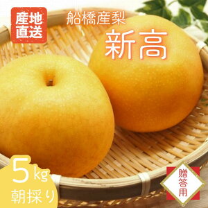 yӂ邳Ɣ[Łz tz  \ /  K L Â V V D̂Ȃ s\ Iׂƒp p 3kg 5kg { ʕ t[ctY DsY 2025NY  t