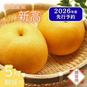 yӂ邳Ɣ[Łzy2026NY s\z  K L Â V V D̂Ȃ s\ Iׂƒp p 3kg 5kg { ʕ t[ctY DsY  t Ds 