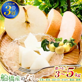 【ふるさと納税】梨 先行予約 選べる品種 船橋のなし 幸水 豊水 あきづき 新高 新興 かおり 3kg 5kg 贈答用 家庭用 2026年発送 なし ナシ 和梨 フルーツ 果物 くだもの 千葉県産 極上梨 希少品種 おすすめ 訳あり エコチョク