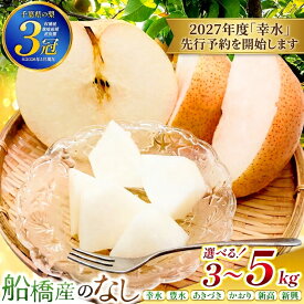 【ふるさと納税】梨 先行予約 選べる品種 船橋のなし 幸水 豊水 あきづき 新高 新興 かおり 3kg 5kg 贈答用 家庭用 2026年・2027年発送 なし ナシ 和梨 フルーツ 果物 くだもの 千葉県産 極上梨 希少品種 おすすめ 訳あり エコチョク
