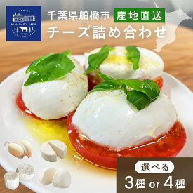 【ふるさと納税】 チーズ 詰め合わせ 皆川牧場 3種 4種 セット 食べ比べ 人気 話題 冷蔵 モッツァレラチーズ リコッタ カチョッタ スカモルツァ ナチュラルチーズ 熟成 手作り 生乳 牧場直送 ご当地 ギフト 贈答 ミルク おつまみ デザート パスタ ピザ 前菜 おつまみ 乳製品