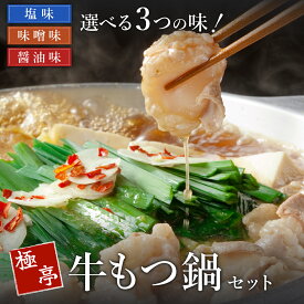 【ふるさと納税】博多名物 極亭牛もつ鍋 塩味 400g×6P 冬季限定 もつ鍋 もつなべ 鍋 鍋セット 冷凍 博多 ホルモン 限定 期間限定